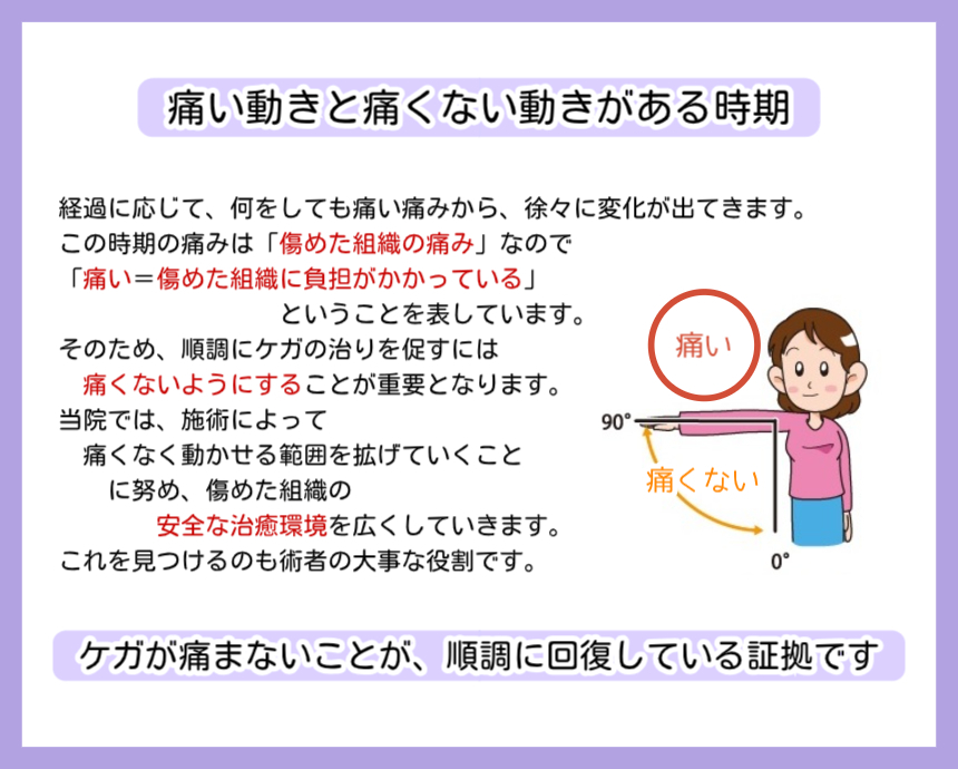 修復期の説明をしている画像です