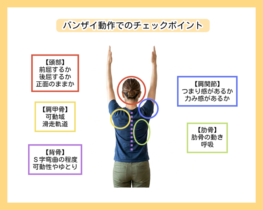 バンザイ動作でのチェックポイント