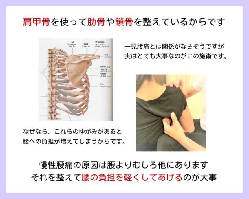 肩甲骨を使って肋骨や鎖骨まで整えていることを紹介した画像です