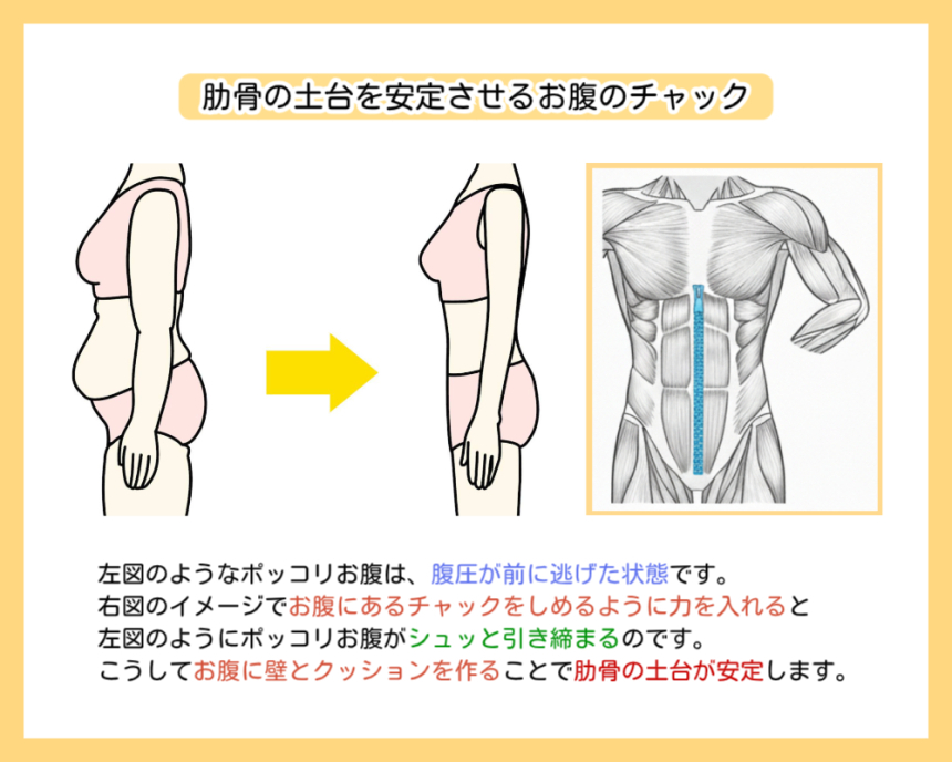 お腹のチャックを閉めるイメージによる体幹安定の解説図。ポッコリお腹は腹圧が前に逃げた状態であり、恥骨からみぞおちまでチャックを閉めるように力を入れることで、お腹を引き締め肋骨の土台を安定させるイラスト。
