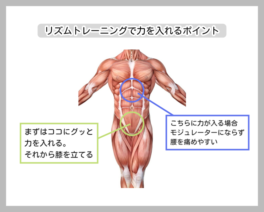 腹筋のアップデートにおける「収縮リズム」の図解。人体解剖図の前面に、正しいスイッチ（下腹部・緑の円）と、腰を痛めやすい誤ったスイッチ（みぞおち・青の円）を提示。「まずは下腹部にグッと力を入れてから膝を立てる」というモジュレーターとしての正しい動員順序を説明した画像。