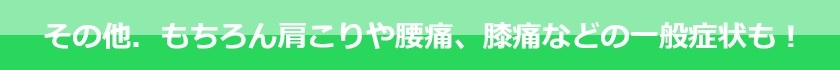 もちろん、肩こりや腰痛、膝痛といった一般症状も