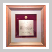 日本柔道整復師会会長賞