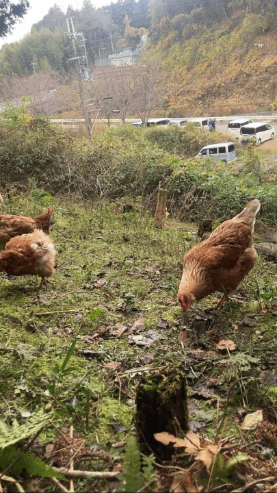 クリックすると拡大します