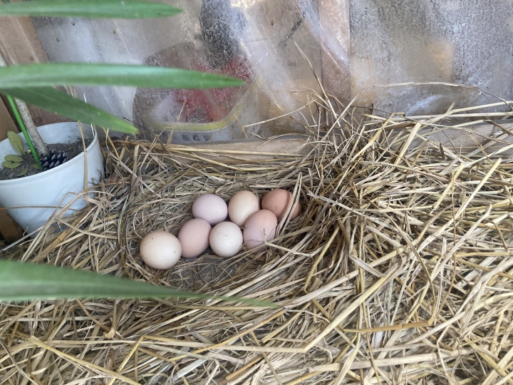 クリックすると拡大します