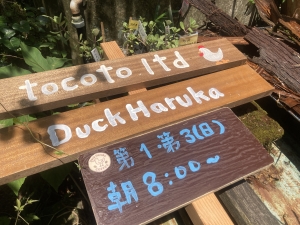 tocoto.ltd  　　あみものザッカtocoto　 ハーブ、植物   　　 カフェtocoto