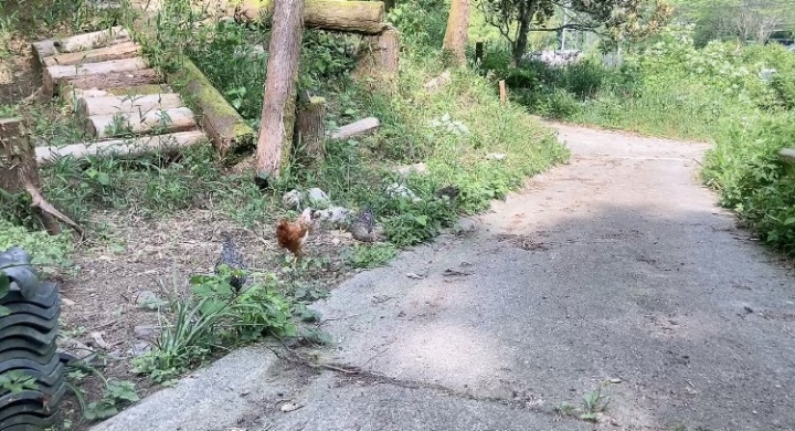 クリックすると拡大します