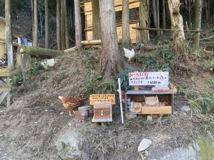 クリックすると拡大します