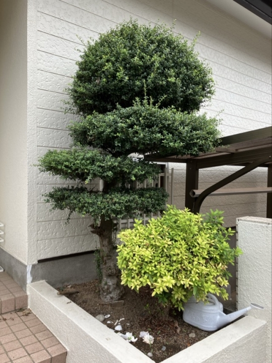 クリックすると拡大します