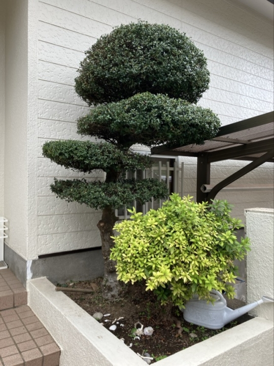 クリックすると拡大します