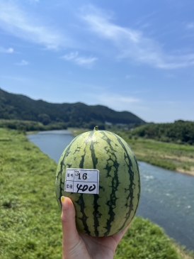 tomoちゃん英語