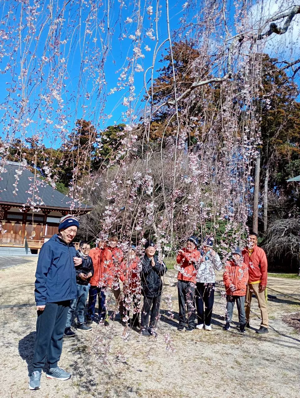 ブログアイコン