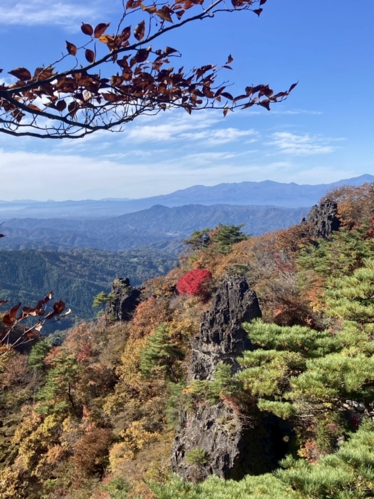 クリックすると拡大します