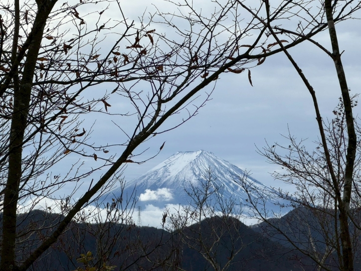 クリックすると拡大します