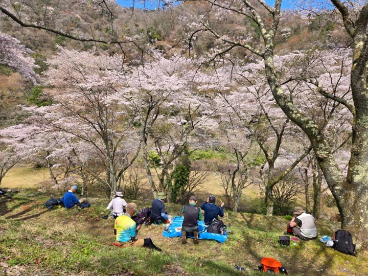 クリックすると拡大します