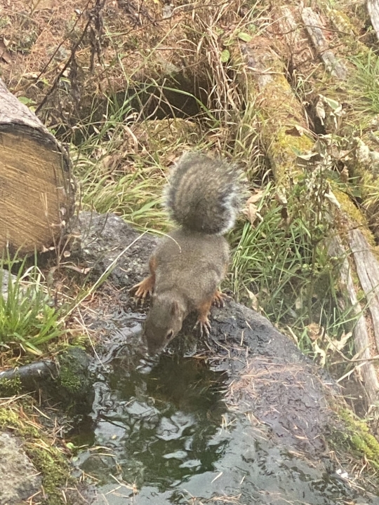 クリックすると拡大します