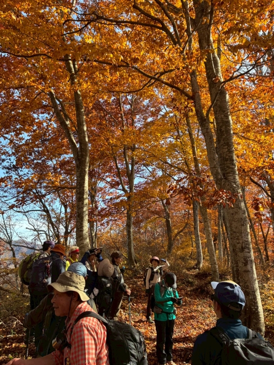 クリックすると拡大します