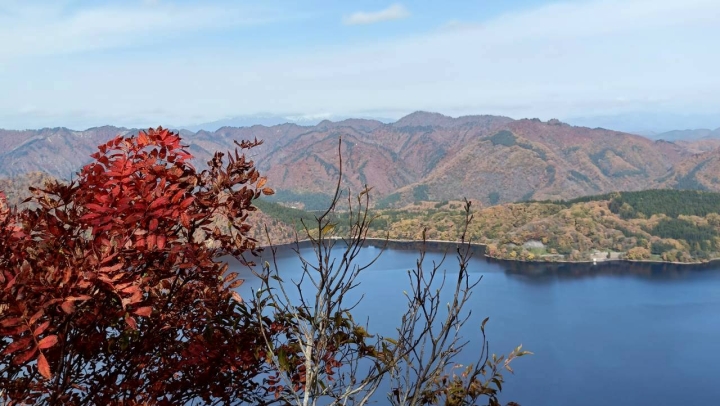 クリックすると拡大します