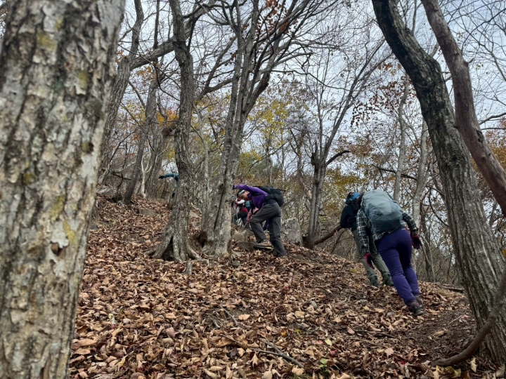 クリックすると拡大します