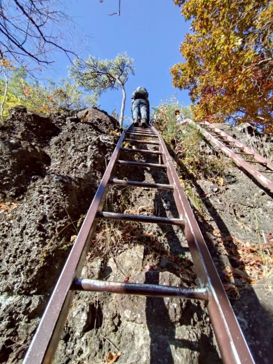 クリックすると拡大します