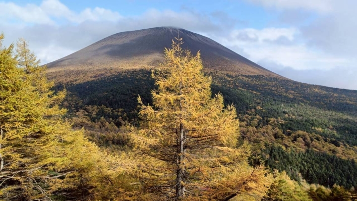 クリックすると拡大します