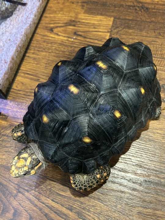 クリックすると拡大します