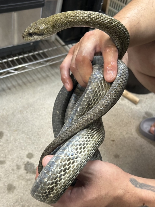 クリックすると拡大します