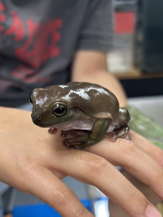 クリックすると拡大します
