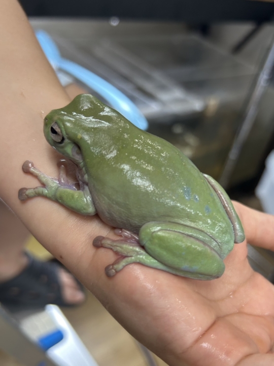 クリックすると拡大します