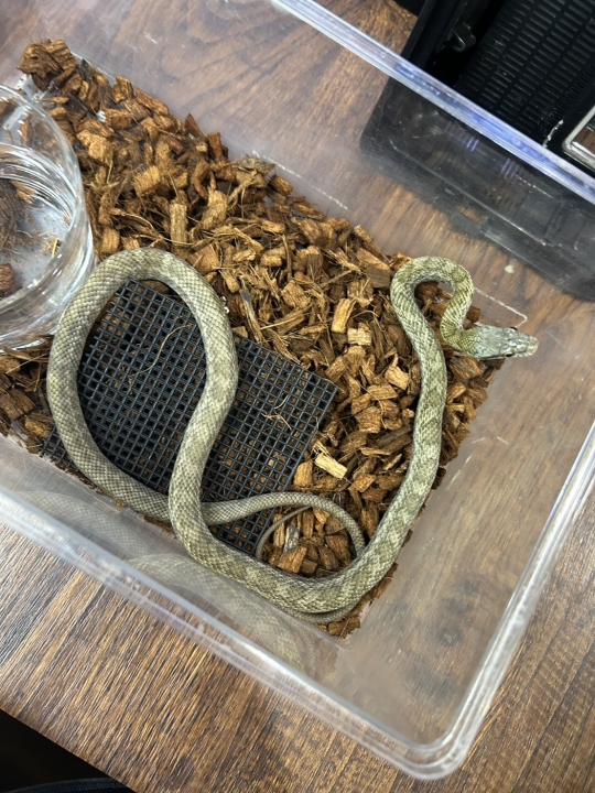 クリックすると拡大します