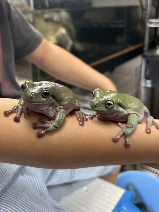 クリックすると拡大します