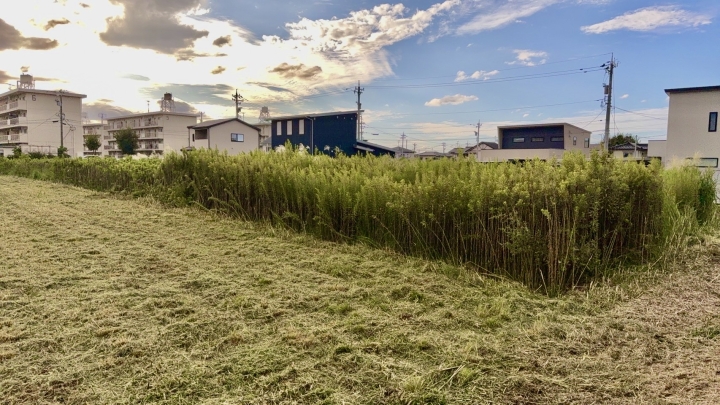 クリックすると拡大します