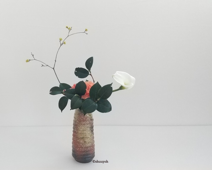 クリックすると拡大します