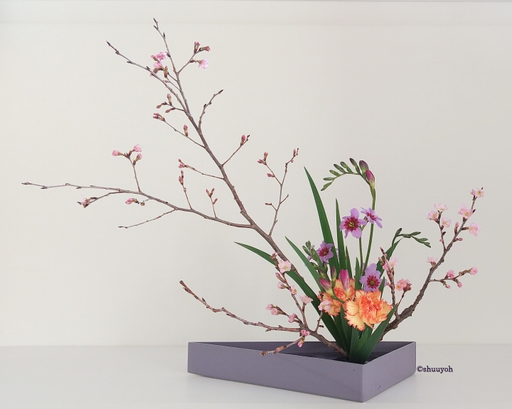 クリックすると拡大します