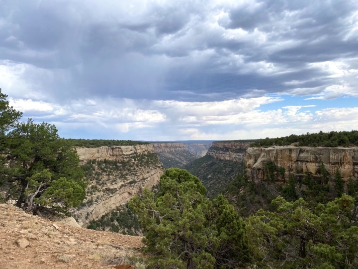 クリックすると拡大します
