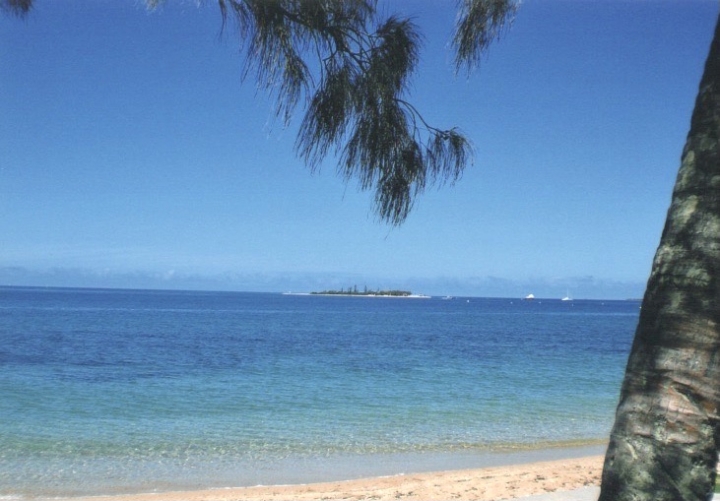 クリックすると拡大します