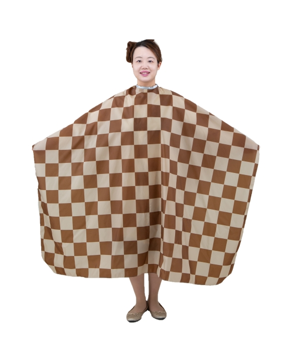 クリックすると拡大します