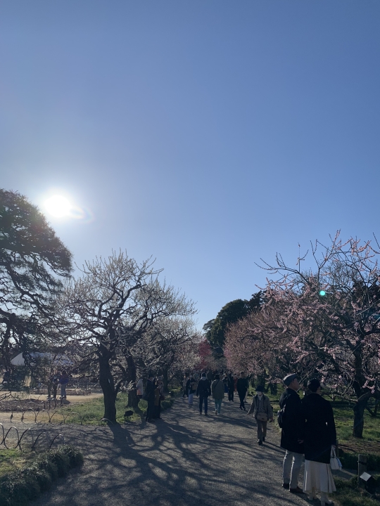 クリックすると拡大します