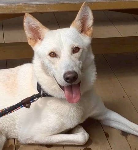 クリックすると拡大します