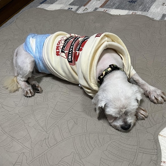 クリックすると拡大します