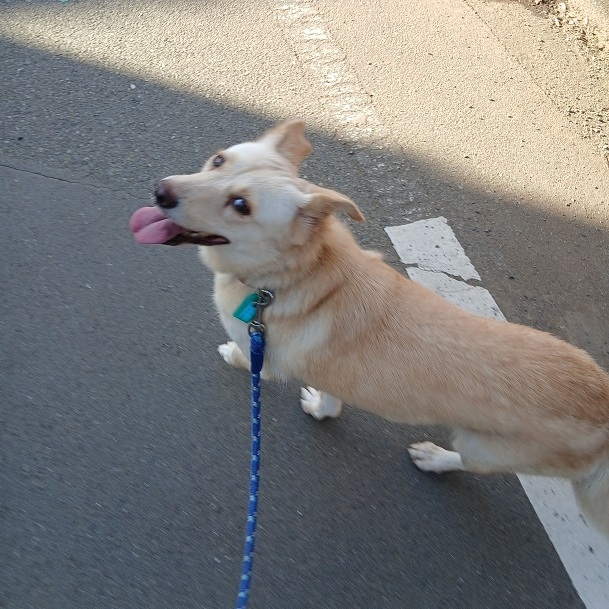 クリックすると拡大します
