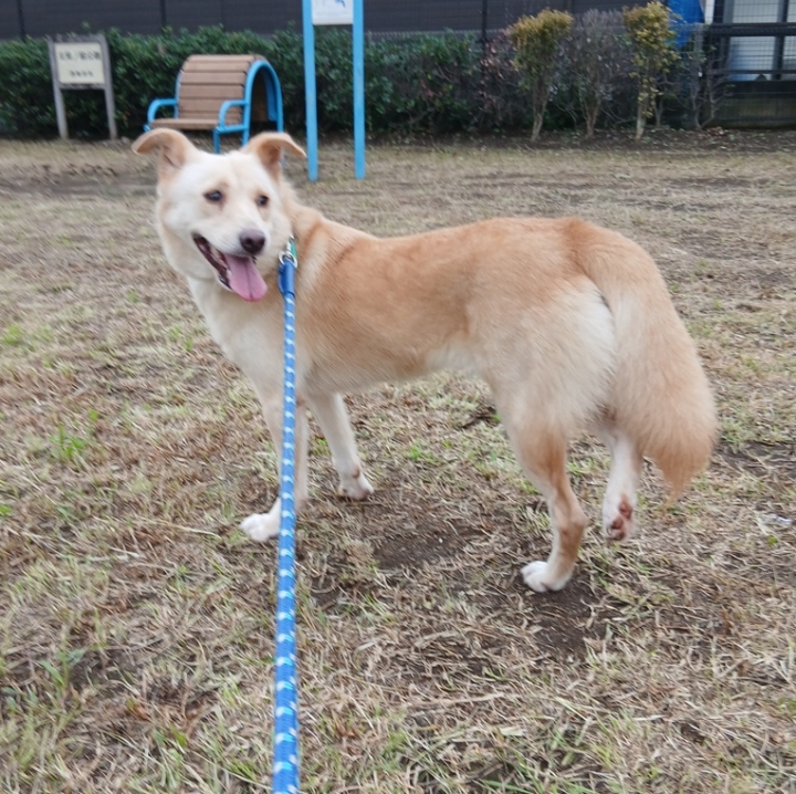 クリックすると拡大します