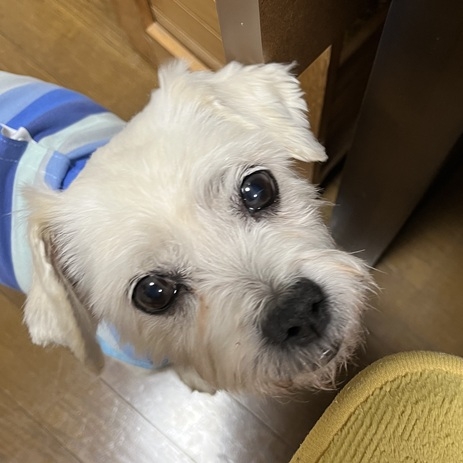 クリックすると拡大します