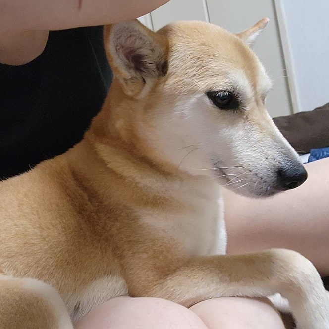 クリックすると拡大します