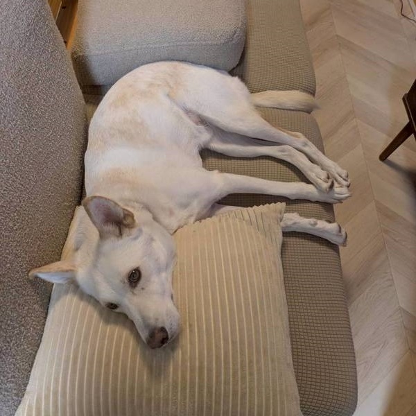 クリックすると拡大します