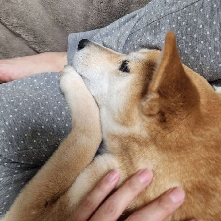 クリックすると拡大します