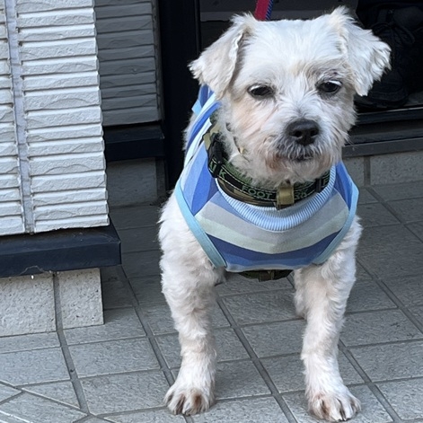 クリックすると拡大します