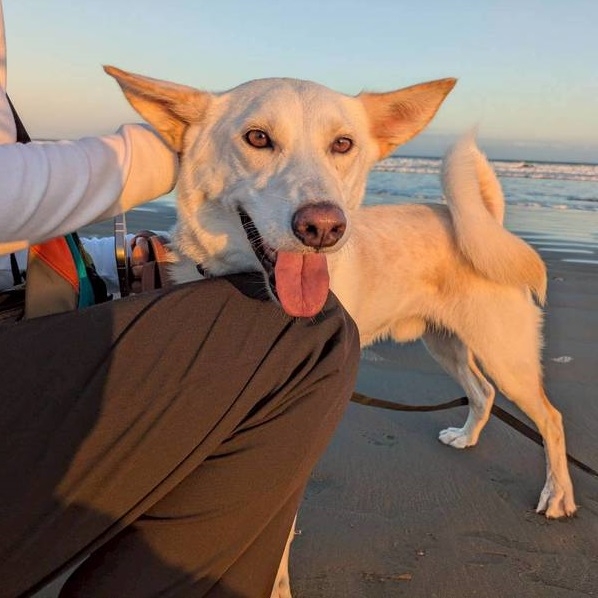 クリックすると拡大します