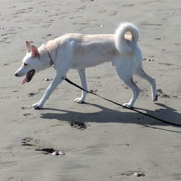 クリックすると拡大します