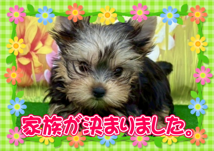 クリックすると拡大します